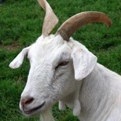 Maeve Sleibhin portrait