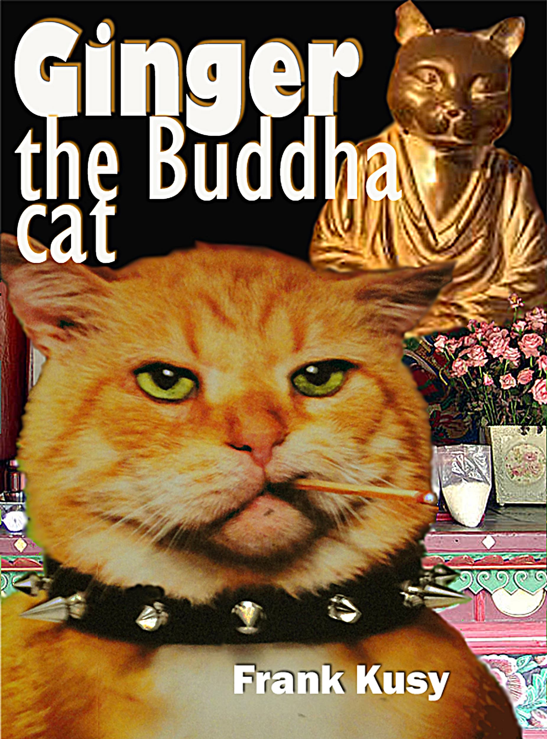 Ginger the Buddha Cat Cover Photo