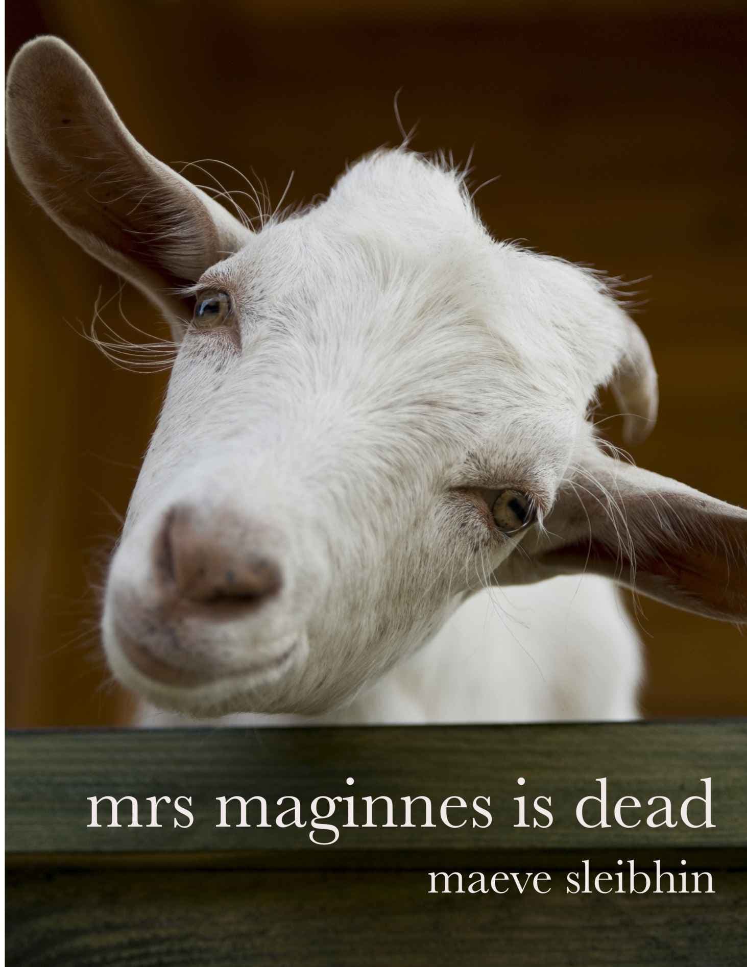Mrs Maginnes is Dead Cover Photo